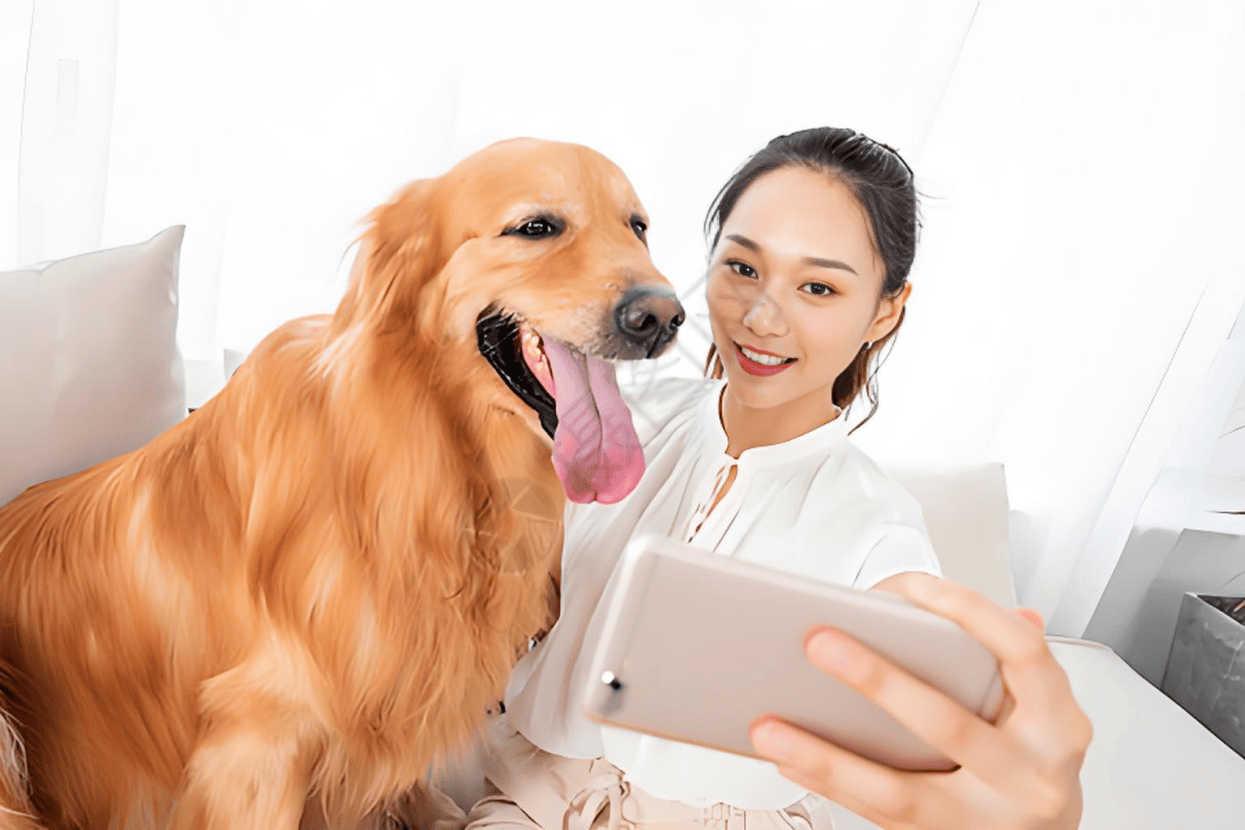 分析：现状、痛点、需求、趋势不朽情缘宠物