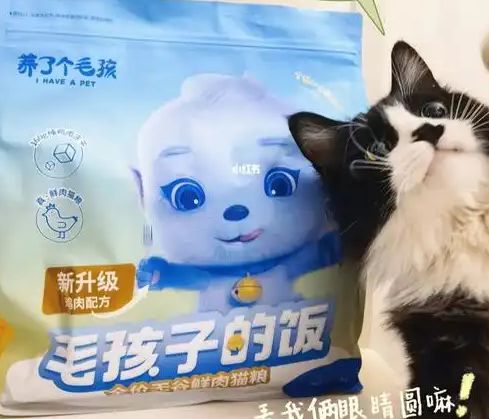 口粮！三只松鼠靠什么重返宠物食品赛道不朽情缘游戏平台零食巨头盯上毛孩子(图3)